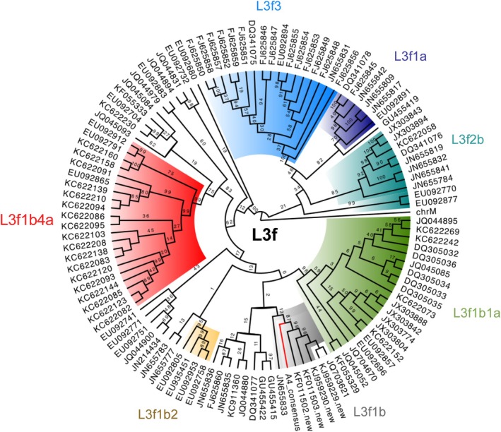 Figure 4