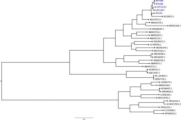 Fig 1