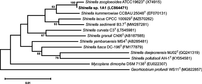 Fig 1