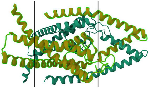 Figure 7