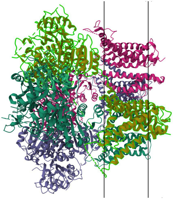 Figure 11