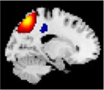 Figure 21