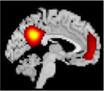 Figure 29