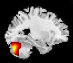 Figure 30
