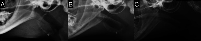 FIGURE 3
