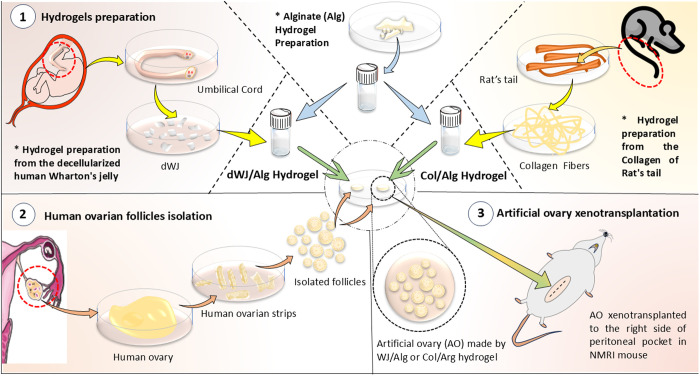 Fig 1