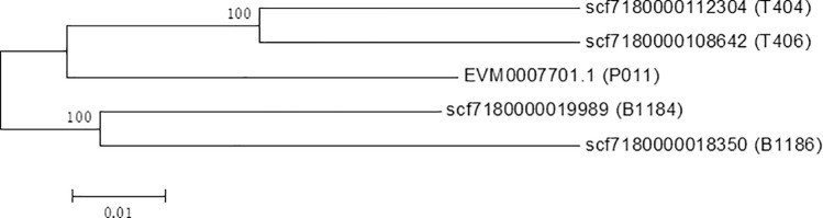 Fig 4
