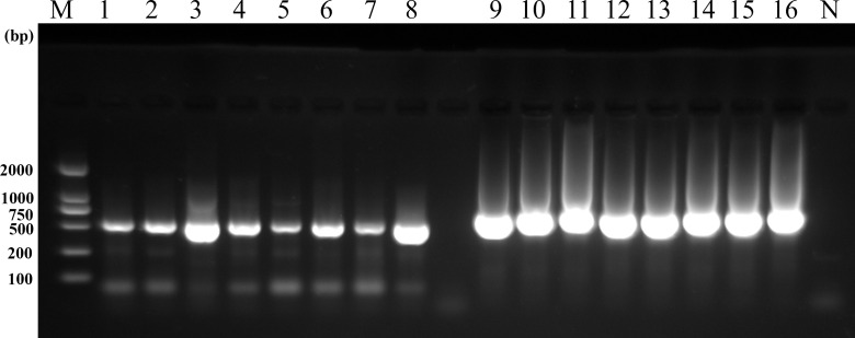 Fig 5