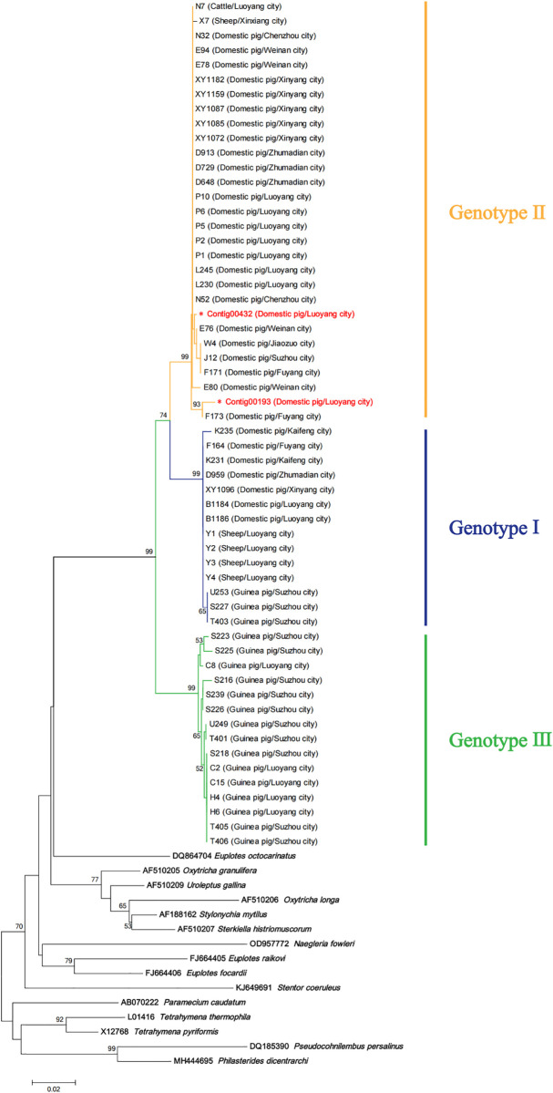 Fig 6