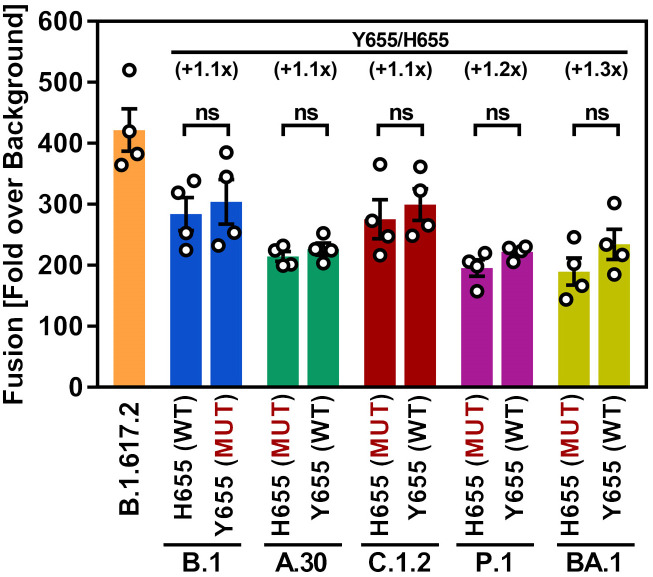 Fig 3