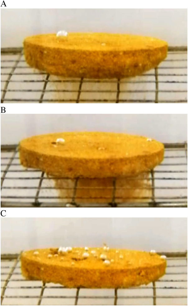 Fig 8