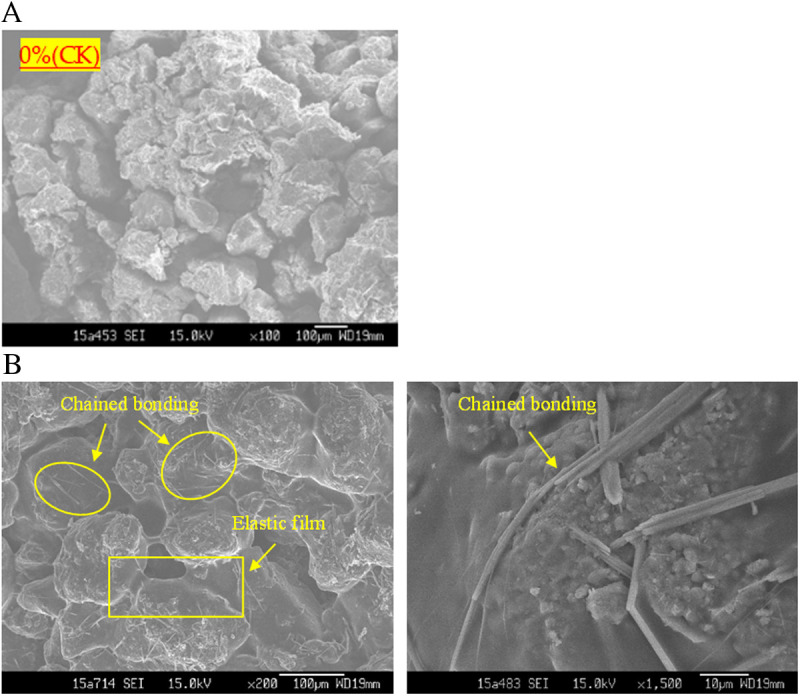 Fig 13