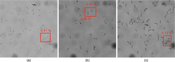 Fig 6
