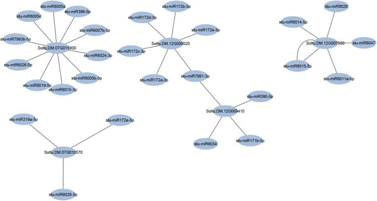 Fig 8