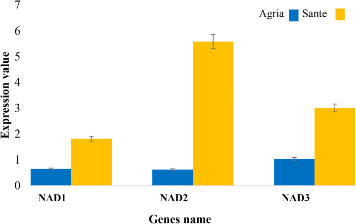 Fig 10