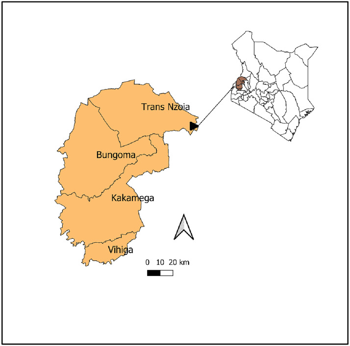 Fig 1