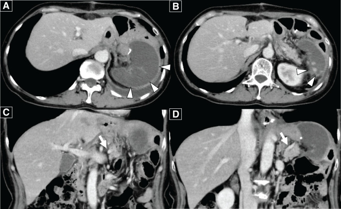 Fig. 5