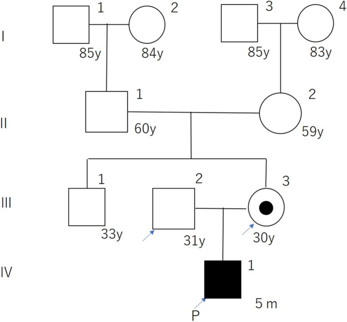 FIGURE 3