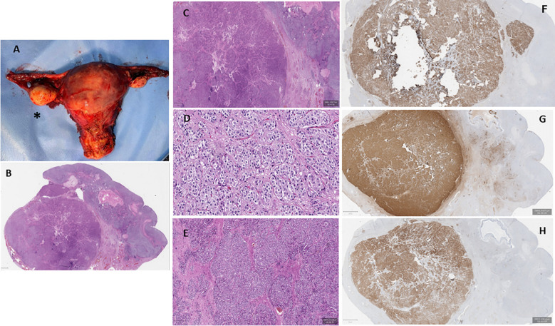 Figure 1
