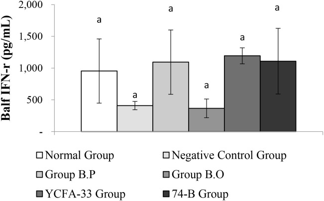 Figure 11