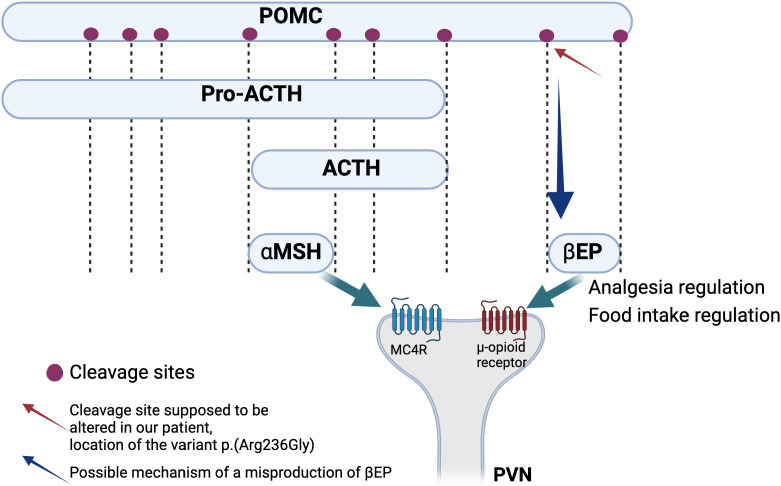 Figure 2
