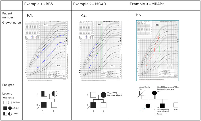 Figure 3