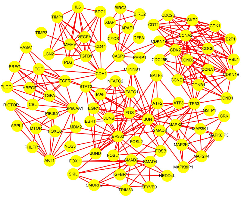 FIGURE 1