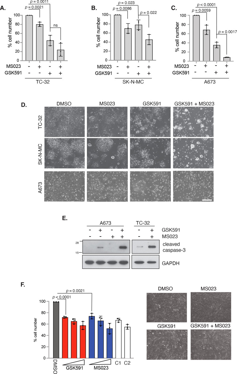 Figure 3