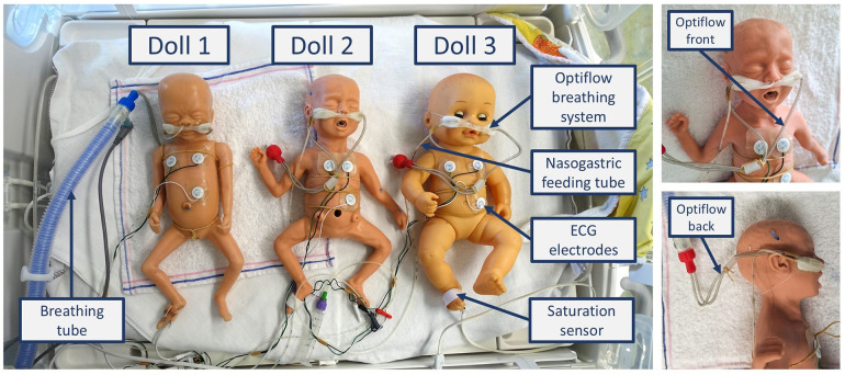 Figure 3