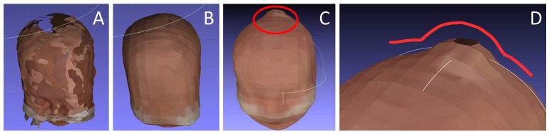 Figure 9