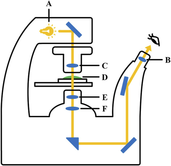 FIGURE 3