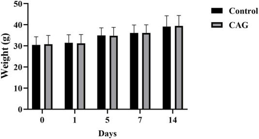 FIGURE 1