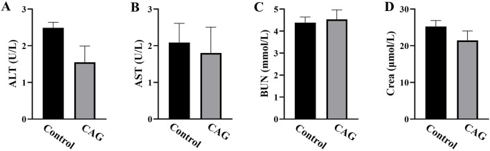 FIGURE 4