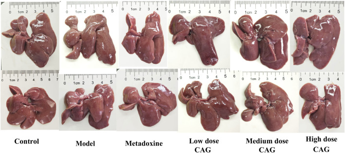 FIGURE 6