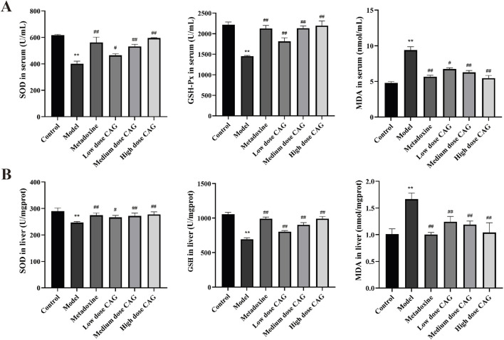 FIGURE 11