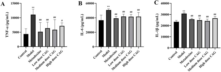 FIGURE 12