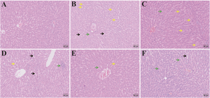 FIGURE 13