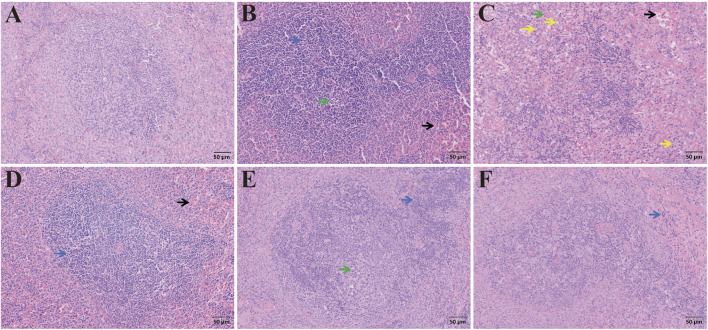 FIGURE 15