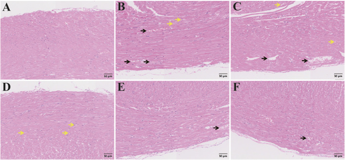 FIGURE 17