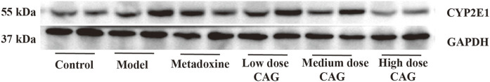 FIGURE 18