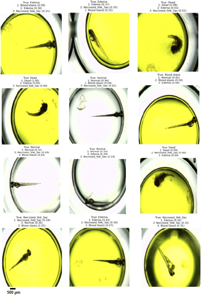 Figure 15