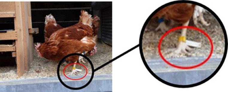 Figure 2