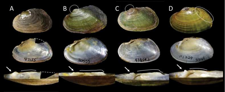 Figure 9