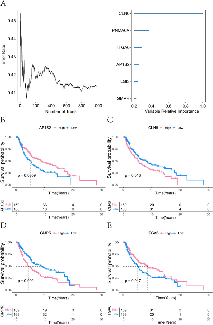 Figure 12