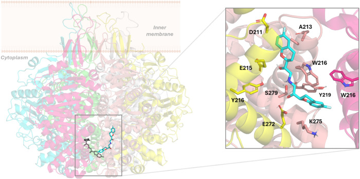 Figure 5