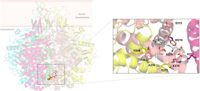 Figure 6