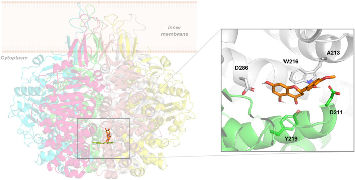 Figure 7