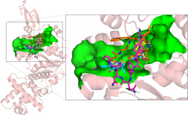 Figure 9