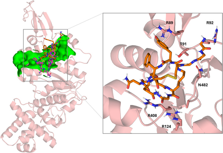 Figure 10