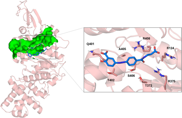 Figure 11